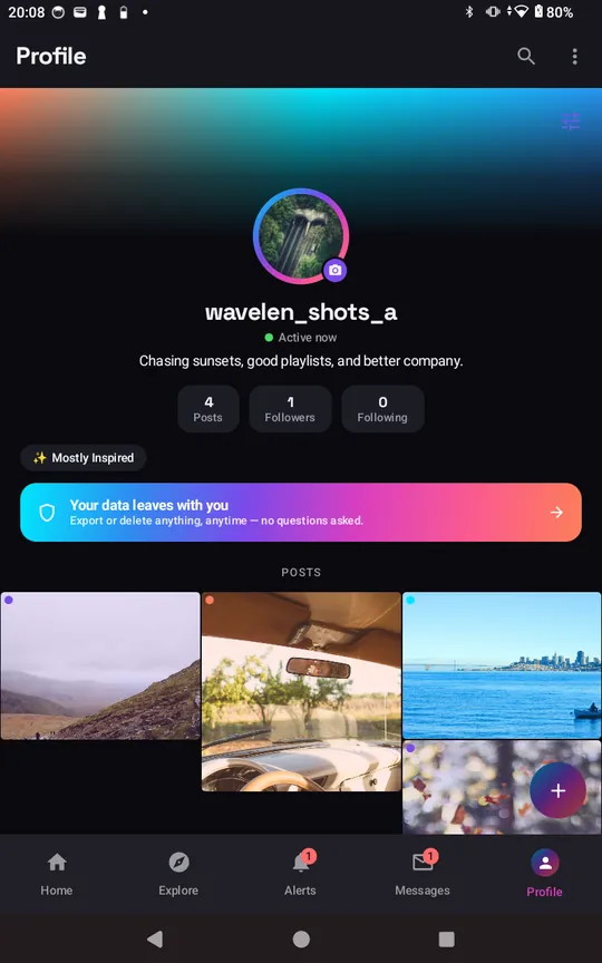 A WaveLen profile with a photo grid and an export-or-delete-your-data banner.